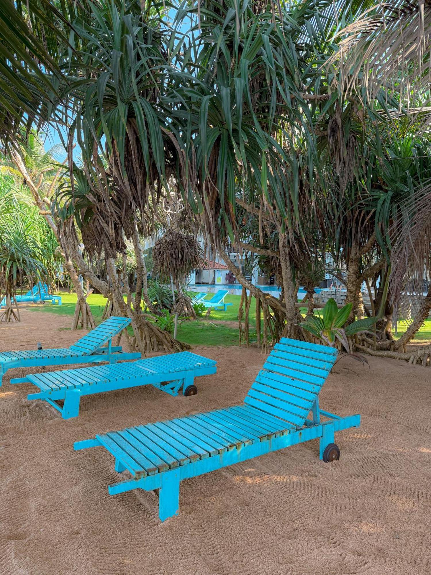 Serendib Beach Hotel Μπεντότα Εξωτερικό φωτογραφία